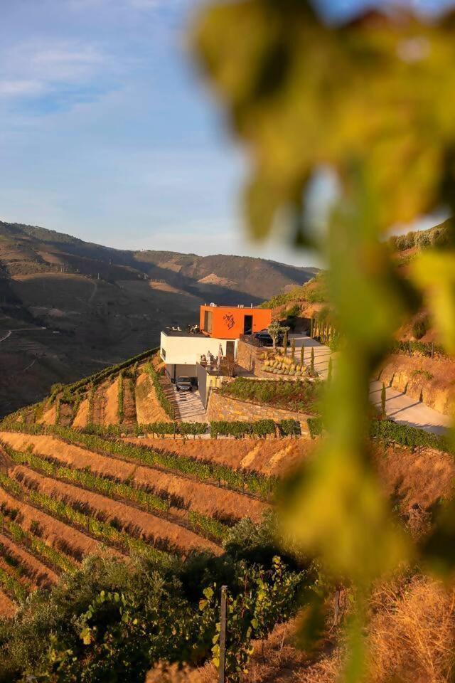 Quinta Vale De Lobos Bed & Breakfast Folgosa  Dış mekan fotoğraf