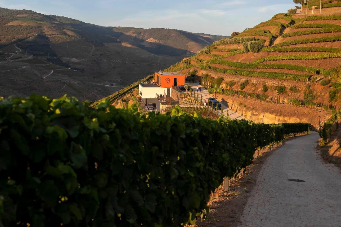 Quinta Vale De Lobos Bed & Breakfast Folgosa  Dış mekan fotoğraf